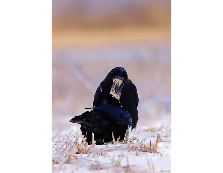 647345277_3838989413071865_6185603651602302940_n