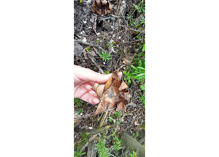 photo_2026-04-21_12-33-00