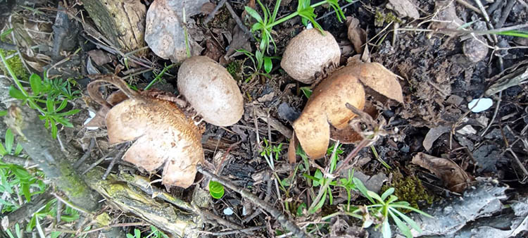 photo_2026-04-21_12-33-04