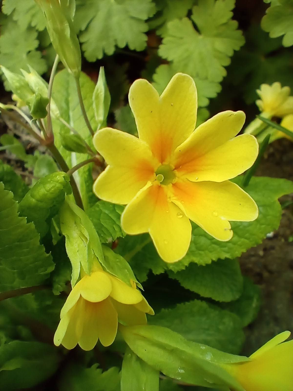 FB_IMG_1776666304747