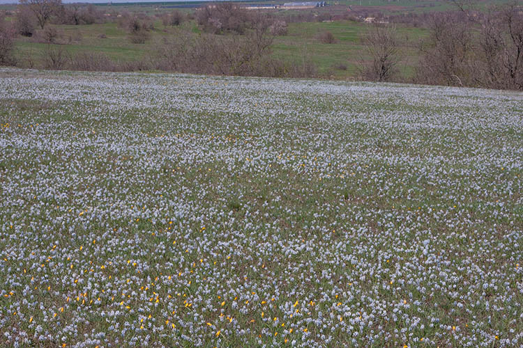 663324531_26448390771495742_6681461744609249159_n