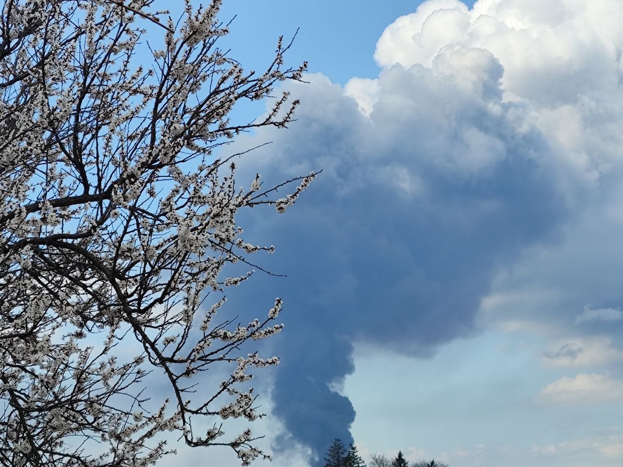 IMG_20260413_105017_855