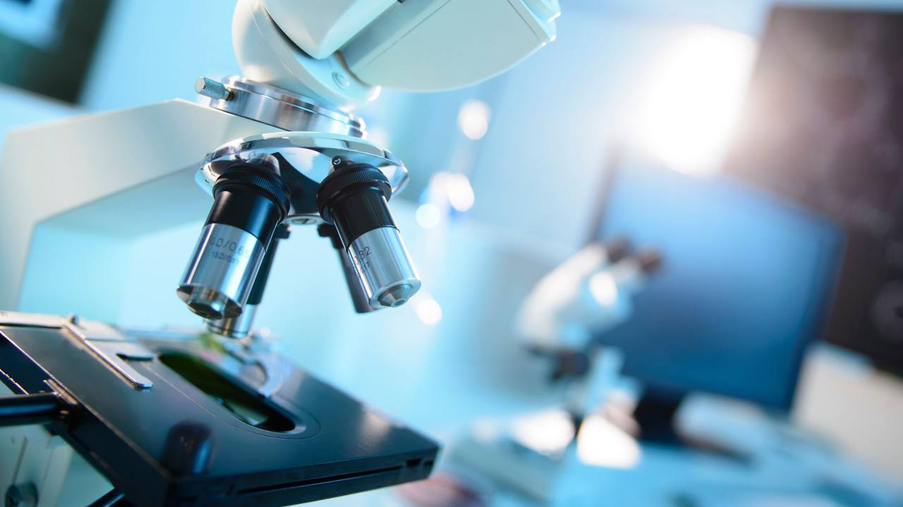 IMG_20260413_134229_424