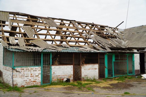 притулок