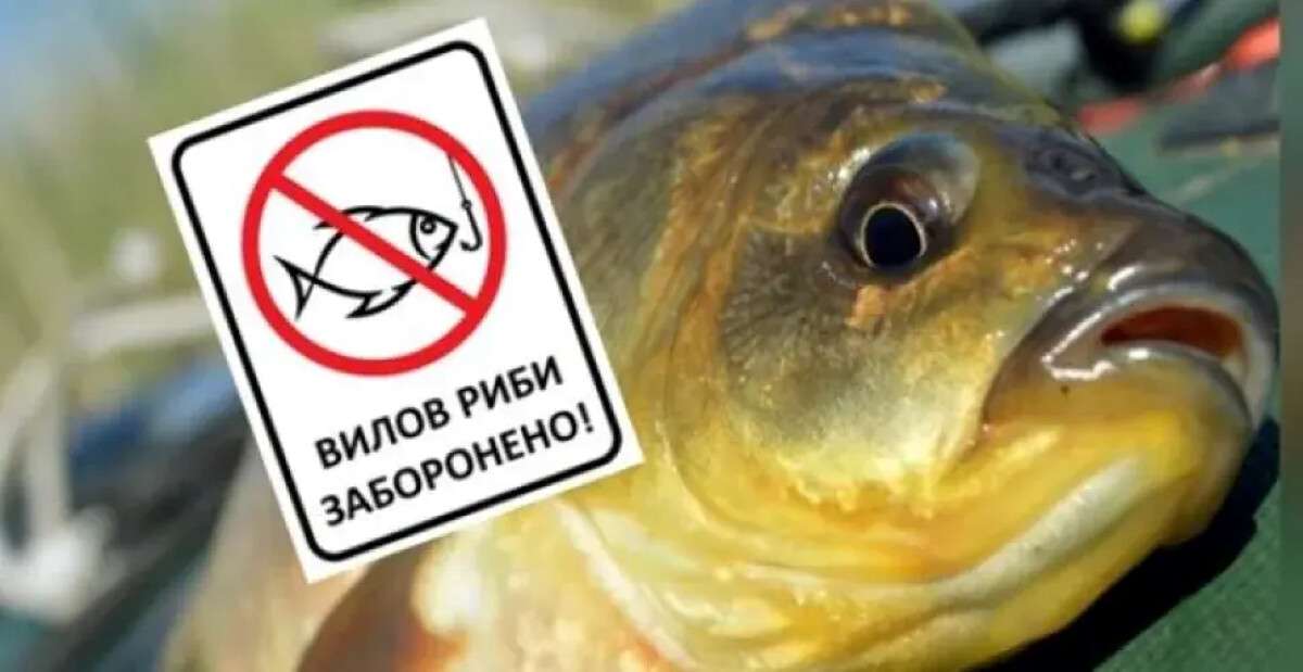 Нерестова заборона на Дніпрі