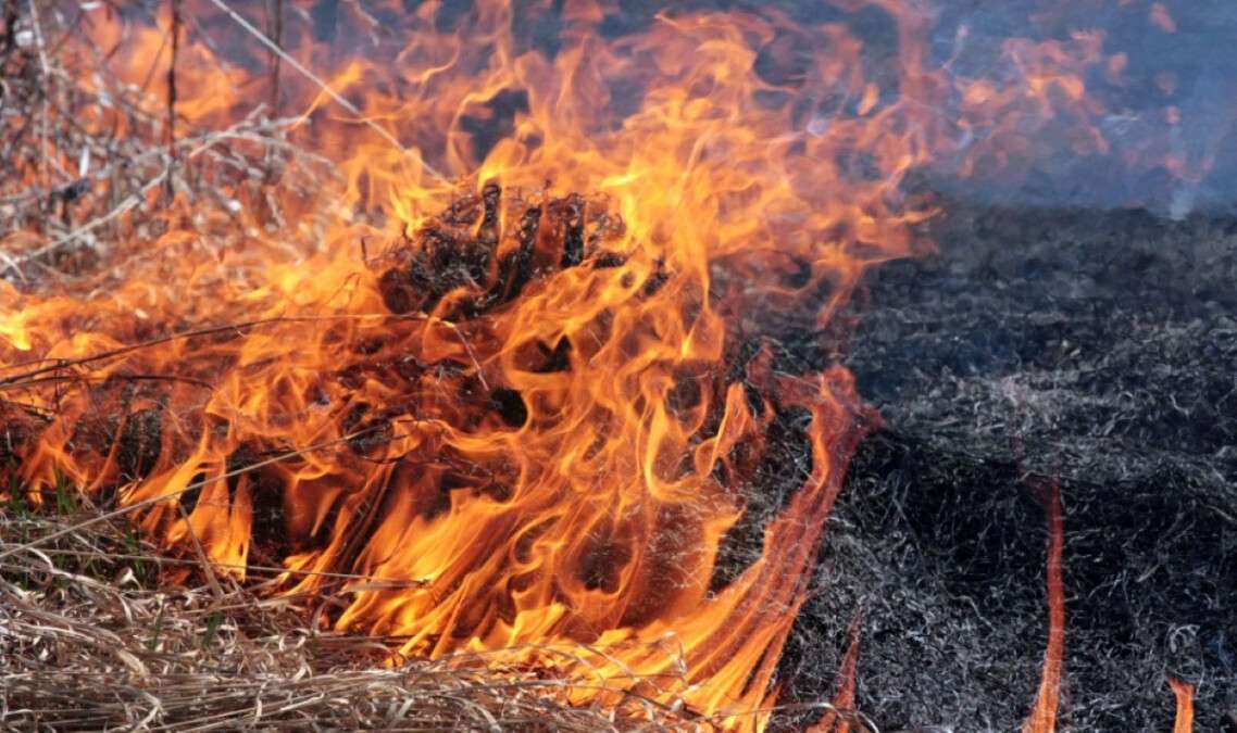 Відповідальність за спалювання сухої трави