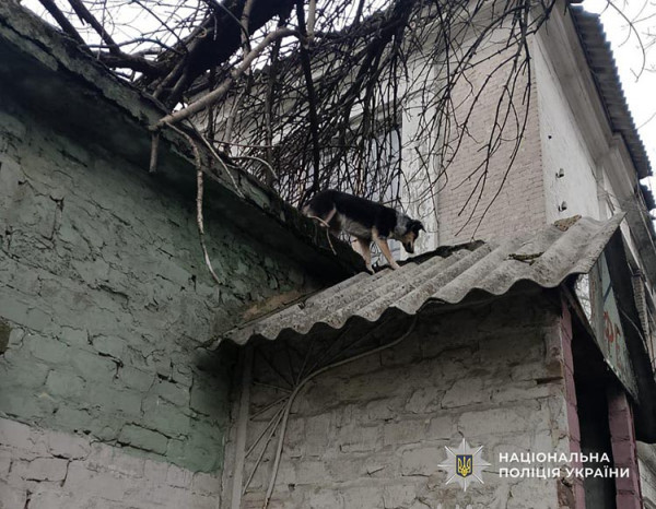 638155743_908142634935354_4541567971505714643_n